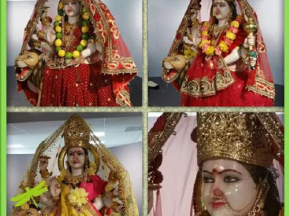 Agricultural Processing