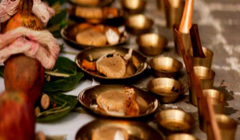 Agricultural Processing